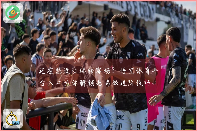 还在愁没法玩转赛场？悟空体育平台入口为你解锁老鸟级进阶技巧，实战收益翻倍！