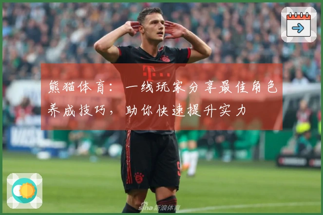 熊猫体育：一线玩家分享最佳角色养成技巧，助你快速提升实力